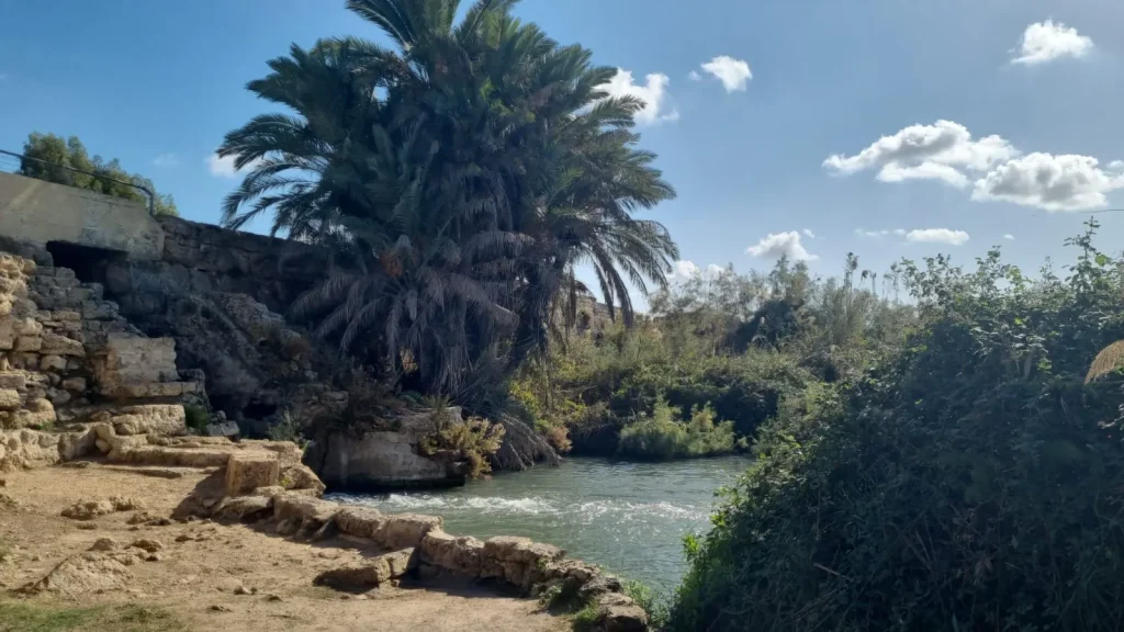טיול נגיש בנחל תנינים עם ליווי מקצועי